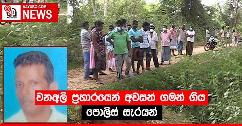 වනඅලි ප්‍රහාරයෙන් අවසන් ගමන් ගිය පොලිස් සැරයන්