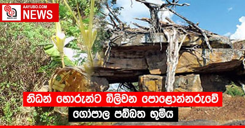 නිධන් හොරුන්ට බිලිවන පොළොන්නරුවේ ගෝපාල පබ්බත භූමිය