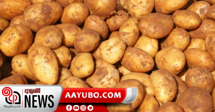 ආර්තාපල් ආනයන බද්ද  පහළට