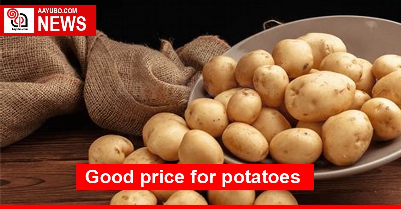 Good price for potatoes