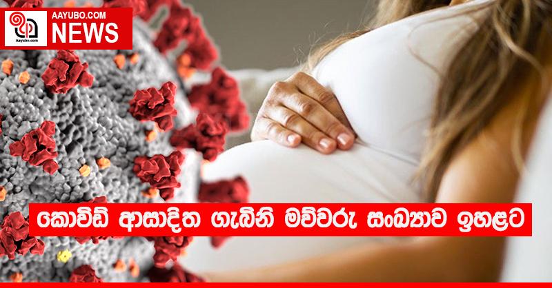 කොවිඩ් ආසාදිත ගැබිනි මව්වරු සංඛ්‍යාව ඉහළට