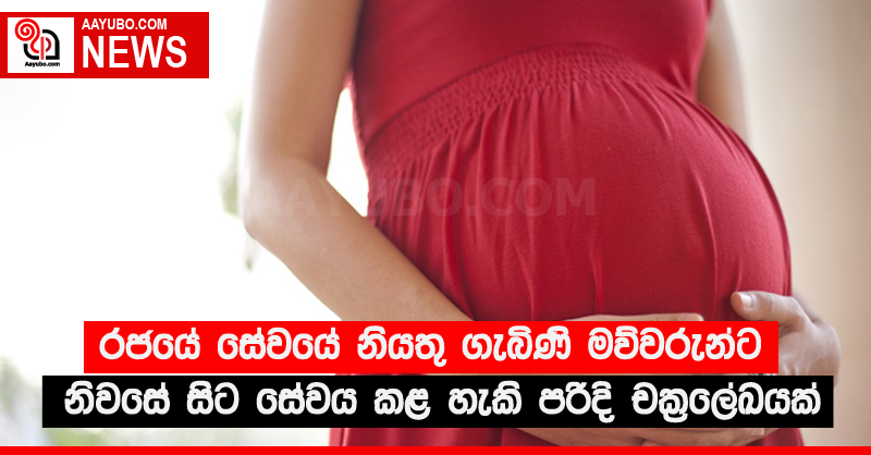 රජයේ සේවයේ නියතු ගැබිණි මව්වරුන්ට නිවසේ සිට සේවය කළ හැකි පරිදි චක්‍රලේඛයක්