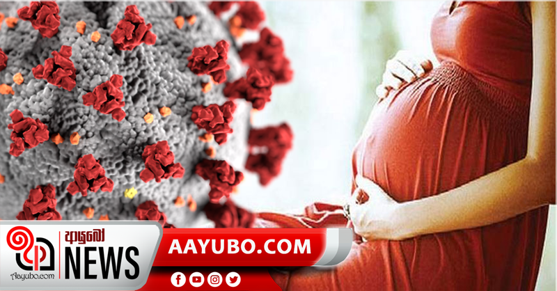 ගැබිනි මව්වරුන් 80කට කොරෝනා