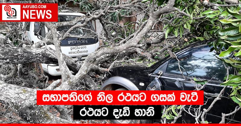 සභාපතිගේ නිල රථයට ගසක් වැටී රථයට දැඩි හානි