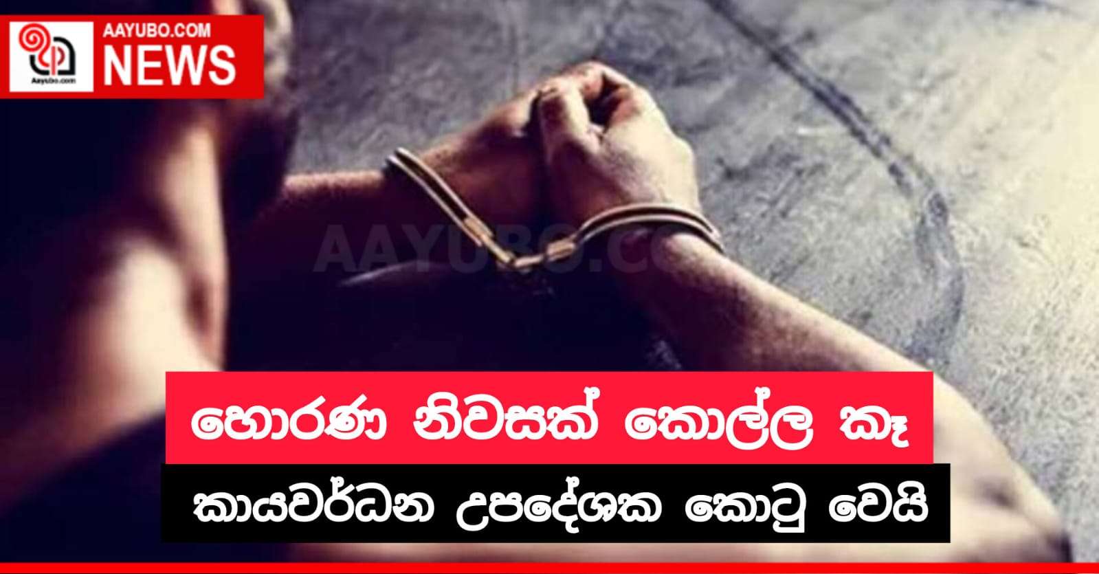 හොරණ නිවසක් කොල්ල කෑ කායවර්ධන උපදේශක කොටු වෙයි