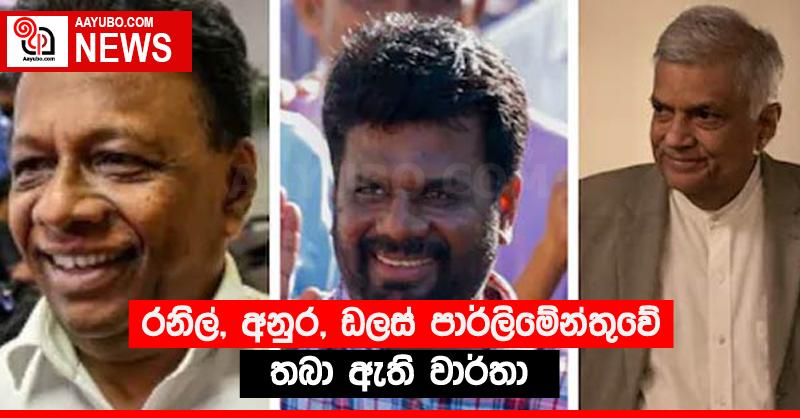 රනිල්, අනුර, ඩලස් පාර්ලිමේන්තුවේ තබා ඇති වාර්තා