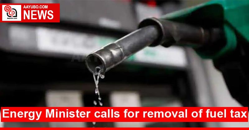 Energy Minister calls for removal of fuel tax