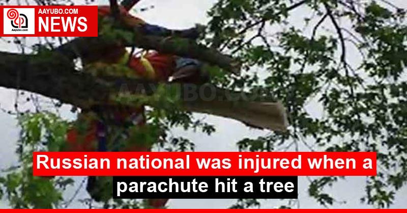 Russian national was injured when a parachute hit a tree