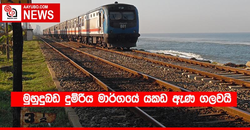 මුහුදුබඩ දුම්රිය මාර්ගයේ යකඩ ඇණ ගලවයි