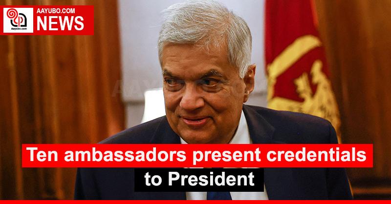 Ten ambassadors present credentials to President