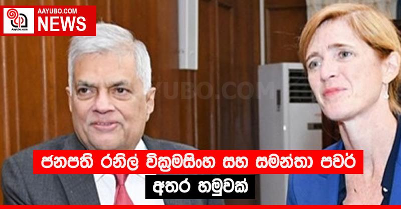 ජනපති රනිල් වික්‍රමසිංහ සහ සමන්තා පවර් අතර හමුවක්