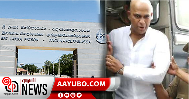 රංජන් රාමණායක අඟුණුකොළපැලැස්සට (VIDEO)