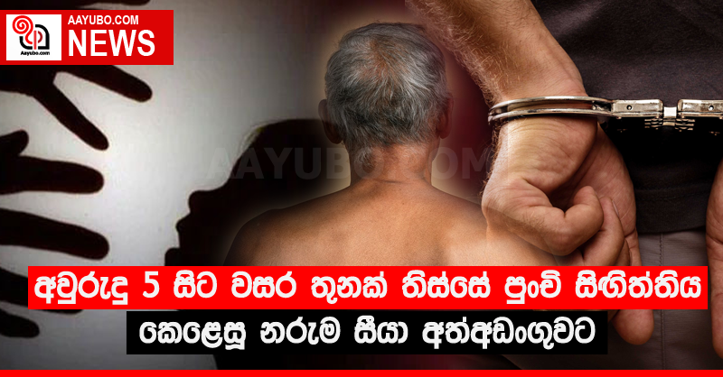 අවුරුදු 5 සිට වසර තුනක් තිස්සේ පුංචි සිඟිත්තිය කෙළෙසූ නරුම සීයා අත්අඩංගුවට