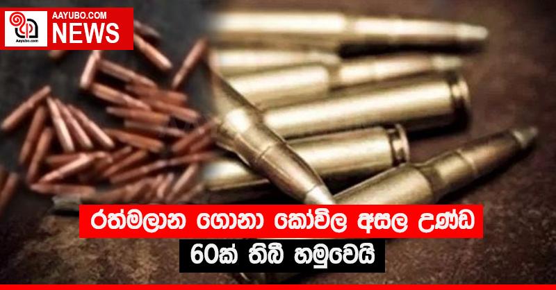 රත්මලාන ගොනා කෝවිල අසල උණ්ඩ 60ක් තිබී හමුවෙයි