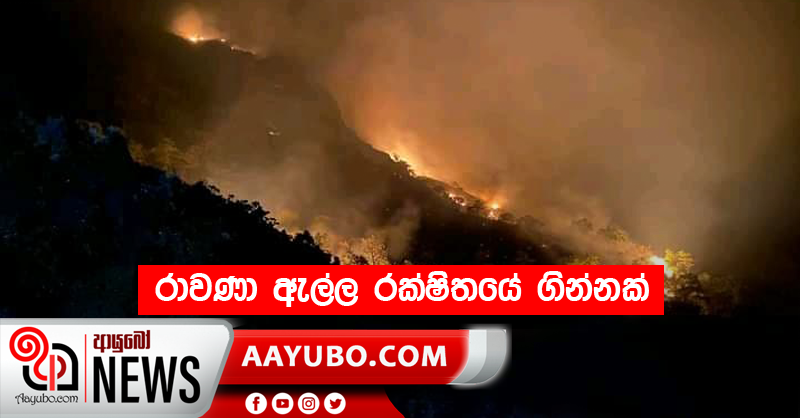 රාවණා ඇල්ල රක්ෂිතයේ ගින්නක්