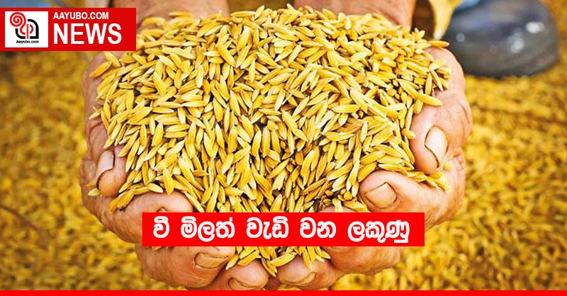 වී මිලත් වැඩි වන ලකුණු