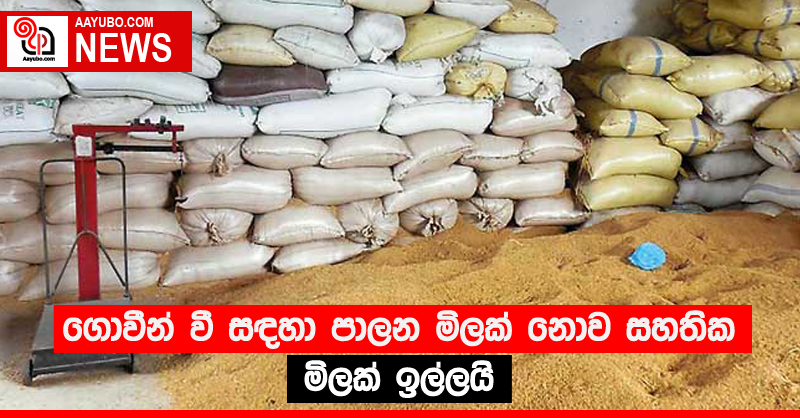 ගොවීන් වී සඳහා පාලන මිලක් නොව සහතික මිලක් ඉල්ලයි