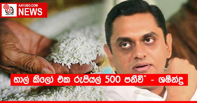 “හාල් කිලෝ එක රුපියල් 500 පනීවි” - ශෂීන්ද්‍ර