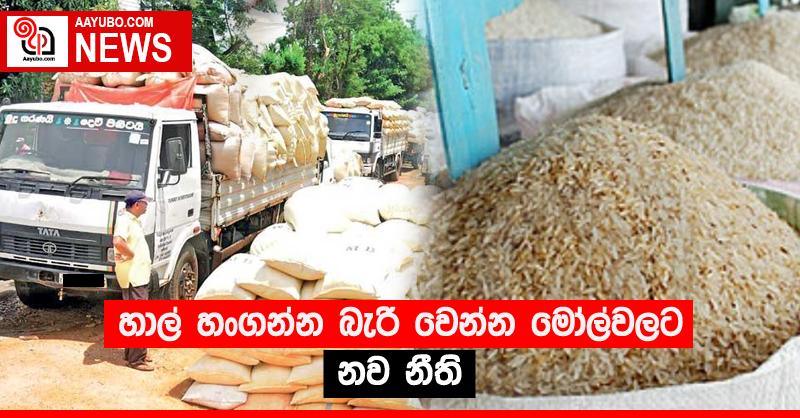 හාල් හංගන්න බැරි වෙන්න මෝල්වලට නව නීති