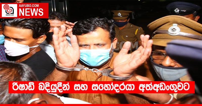 රිෂාඩ් බදියුදීන් සහ සහෝදරයා අත්අඩංගුවට 