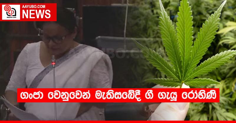 ගංජා වෙනුවෙන් මැතිසබේදී ගී ගැයූ රෝහිණි (VIDEO)