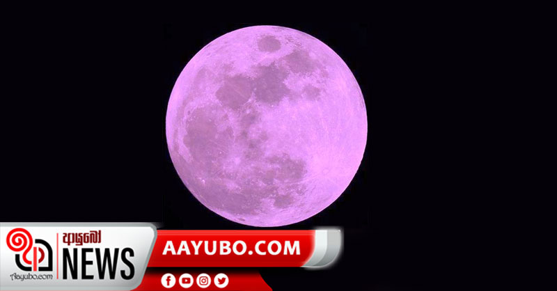 සුපිරි රෝස චන්ද්‍රයා අද රාත්‍රියේ