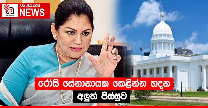 රෝසි සේනානායක කෙළින්න හදන අලුත් පිස්සුව 