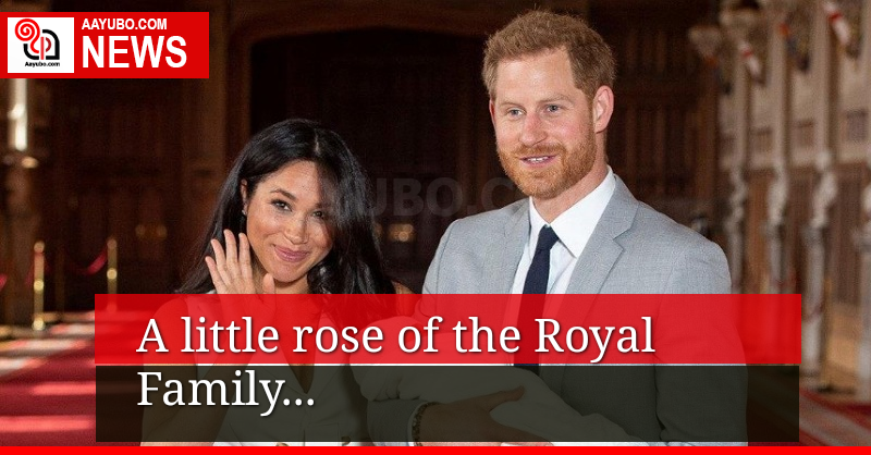 A little rose of the Royal Family 