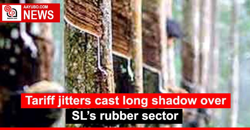 Tariff jitters cast long shadow over SL’s rubber sector
