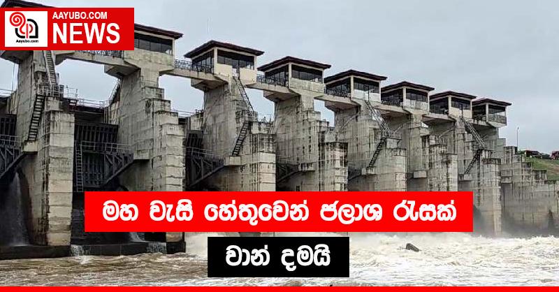 මහ වැසි හේතුවෙන් ජලාශ රැසක් වාන් දමයි 