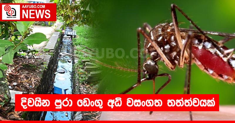 දිවයින පුරා ඩෙංගු අධි වසංගත තත්ත්වයක් 