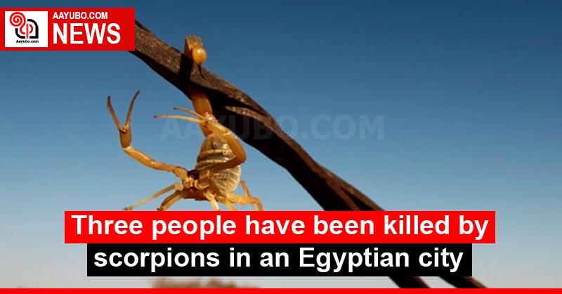 Three people have been killed by scorpions in an Egyptian city