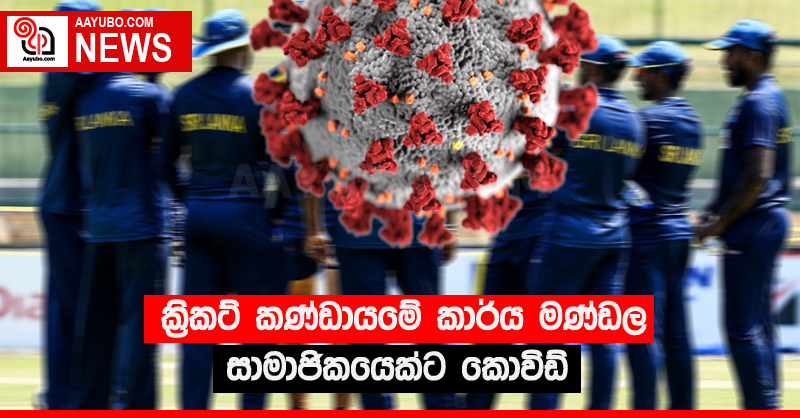 ක්‍රිකට් කණ්ඩායමේ කාර්ය මණ්ඩල සාමාජිකයෙක්ට කොවිඩ්