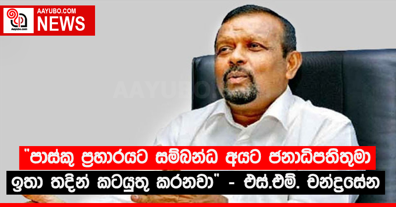 “පාස්කු ප්‍රහාරයට සම්බන්ධ අයට ජනාධිපතිතුමා ඉතා තදින් කටයුතු කරනවා” - එස්.එම්. චන්ද්‍රසේන