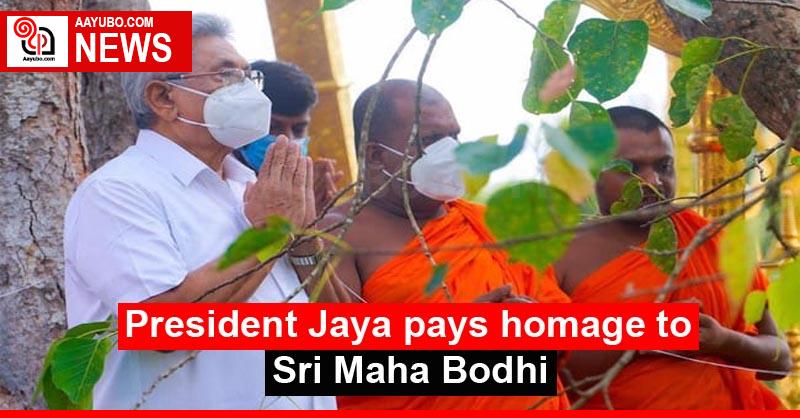 President Jaya pays homage to Sri Maha Bodhi