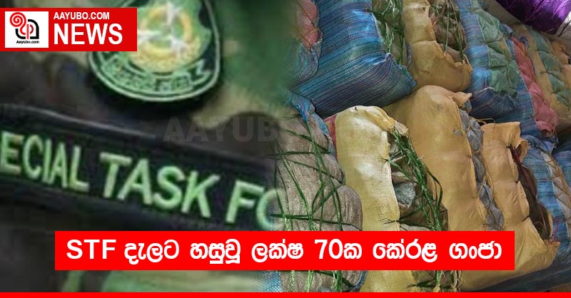 STF දැලට හසුවූ ලක්ෂ 70ක කේරළ ගංජා