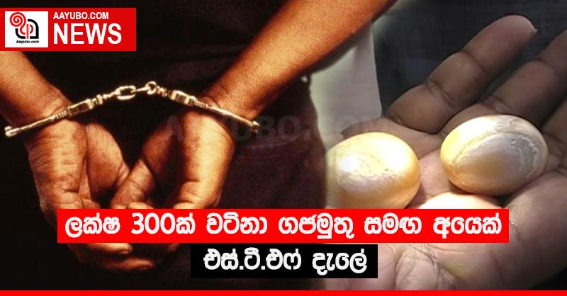 ලක්ෂ 300ක් වටිනා ගජමුතු සමඟ අයෙක් එස්.ටී.එෆ් දැලේ