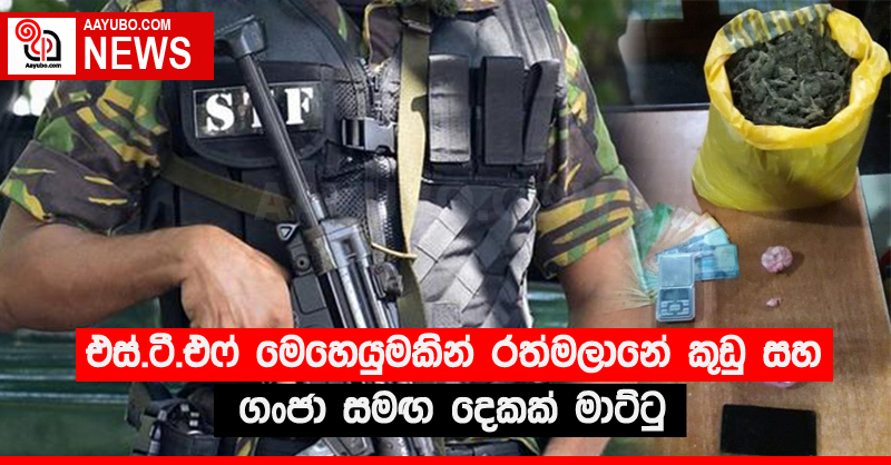 එස්.ටී.එෆ් මෙහෙයුමකින් රත්මලානේ කුඩු සහ ගංජා සමඟ දෙකක් මාට්ටු