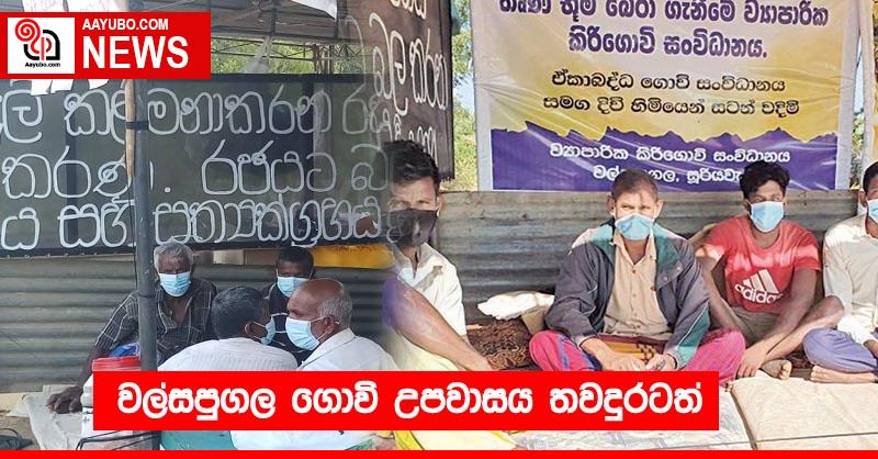වල්සපුගල ගොවි උපවාසය තවදුරටත්