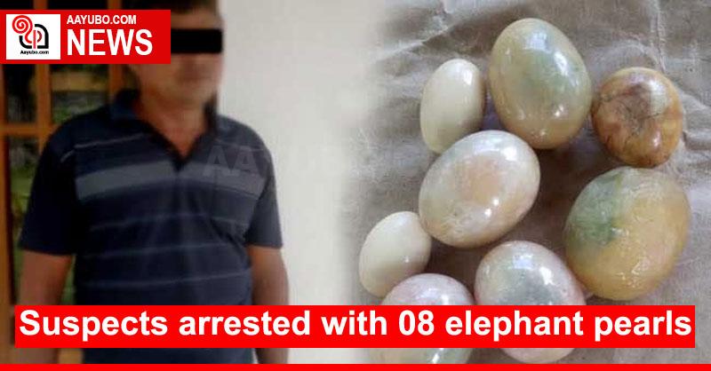 Suspects arrested with 08 elephant pearls