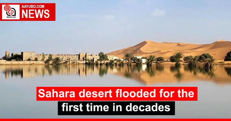 Sahara desert flooded for the first time in decades