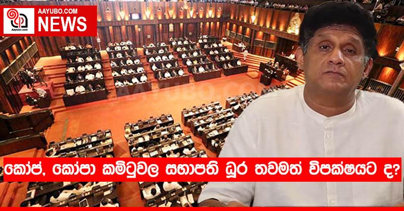 කෝප්, කෝපා කමිටුවල සභාපති ධූර තවමත් විපක්ෂයට ද?