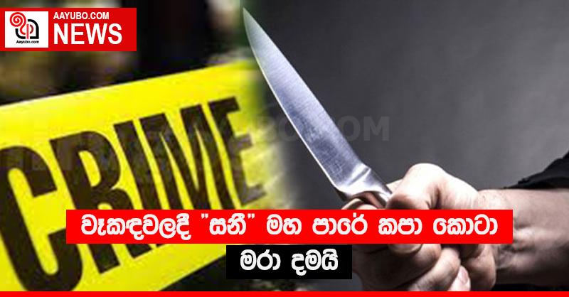 වෑකඳවලදී “සනී” මහ පාරේ කපා කොටා මරා දමයි