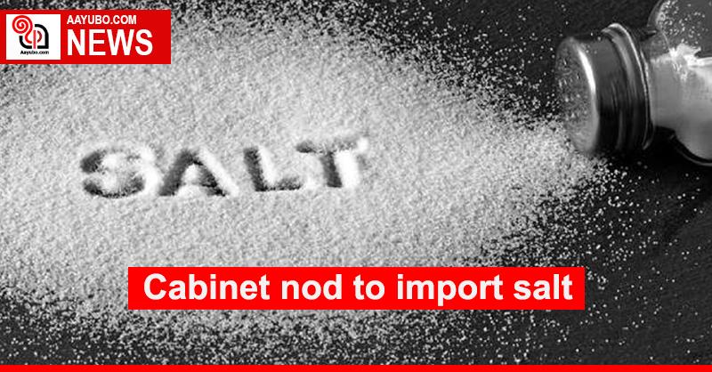 Cabinet nod to import salt
