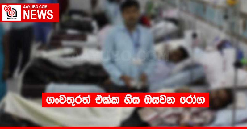 ගංවතුරත් එක්ක හිස ඔසවන රෝග 
