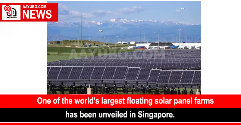One of the world's largest floating solar panel farms has been unveiled in Singapore.