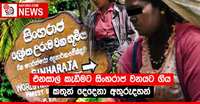 එනසාල් කැඩීමට සිංහරාජ වනයට ගිය කතුන් දෙදෙනා අතුරුදහන්