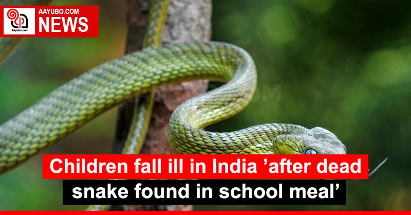 Children fall ill in India ’after dead snake found in school meal’