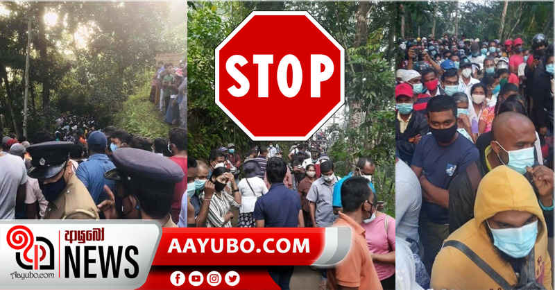 කොරෝනා පැනිය බෙදාහැරීම අත්හිටුවයි