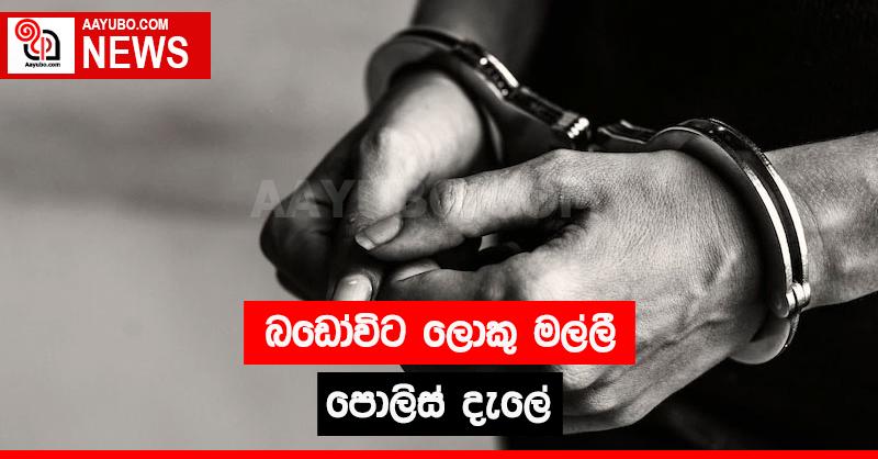 බඩෝවිට ලොකු මල්ලී පොලිස් දැලේ 